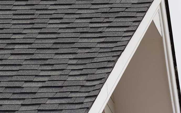 Professional Roof Inspection